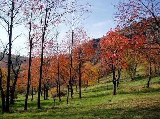 Riserva naturale Divoká Šárka